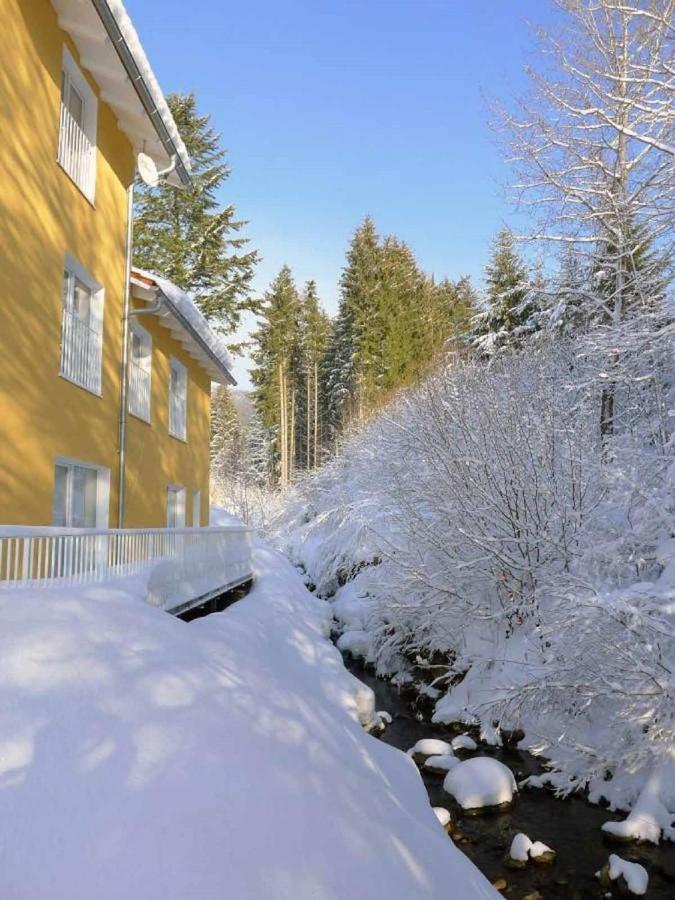 Ferienwohnungen Schoenbachtal Drachselsried Dış mekan fotoğraf